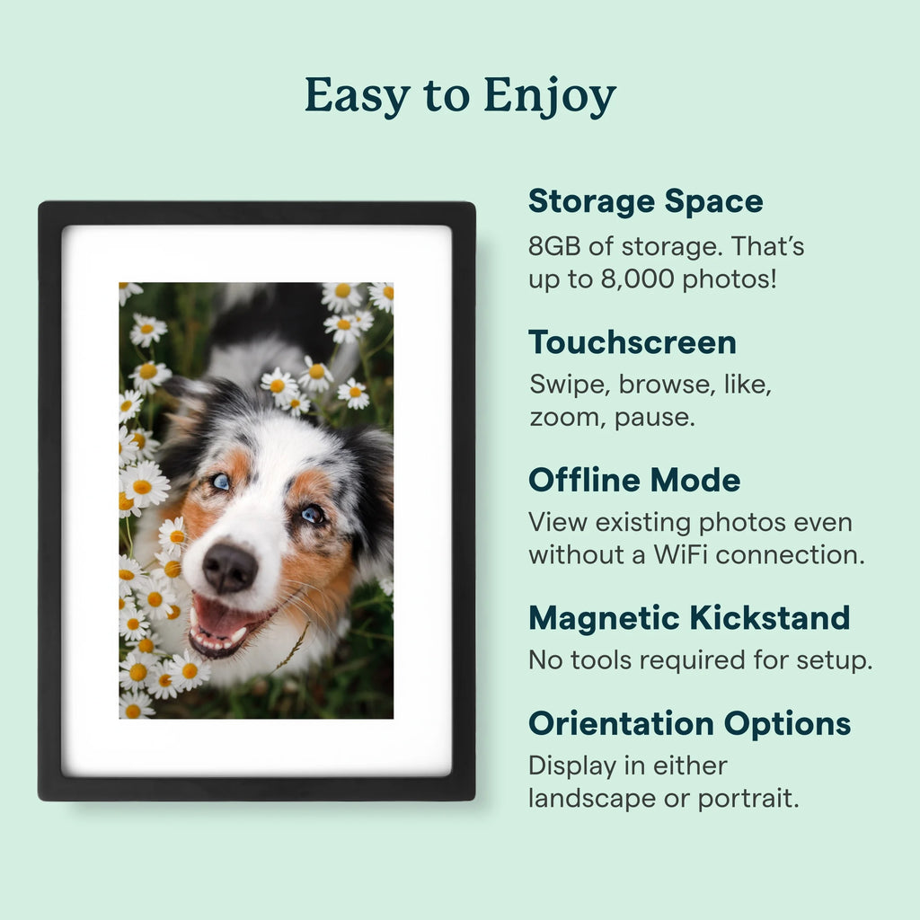 10" Digital Photo Frame - Black